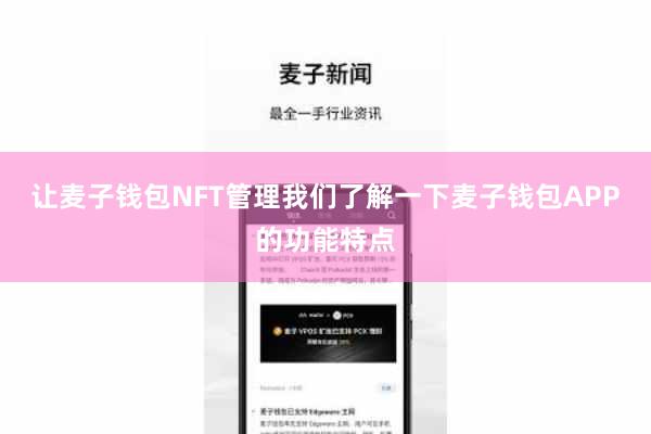 让麦子钱包NFT管理我们了解一下麦子钱包APP的功能特点