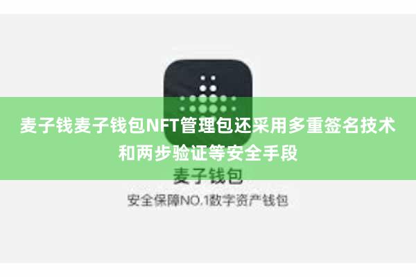 麦子钱麦子钱包NFT管理包还采用多重签名技术和两步验证等安全手段