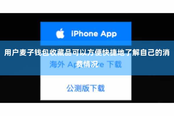 用户麦子钱包收藏品可以方便快捷地了解自己的消费情况