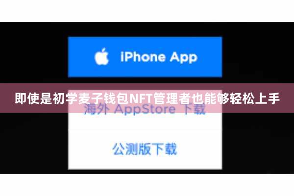 即使是初学麦子钱包NFT管理者也能够轻松上手