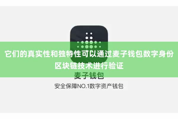 它们的真实性和独特性可以通过麦子钱包数字身份区块链技术进行验证