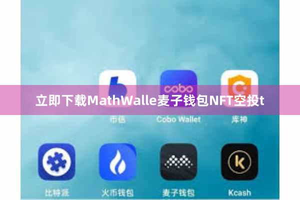立即下载MathWalle麦子钱包NFT空投t