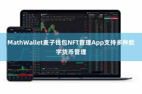MathWallet麦子钱包NFT管理App支持多种数字货币管理