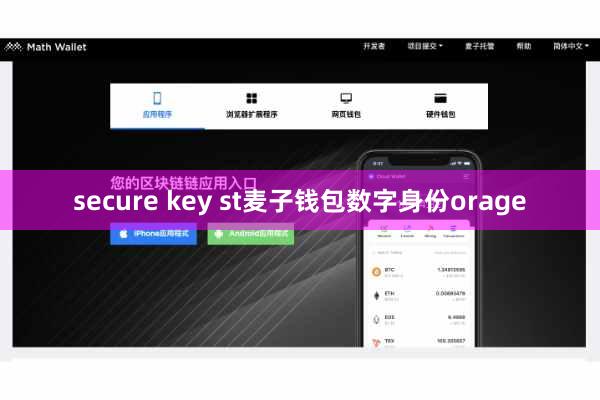 secure key st麦子钱包数字身份orage