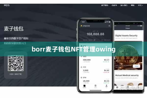 borr麦子钱包NFT管理owing