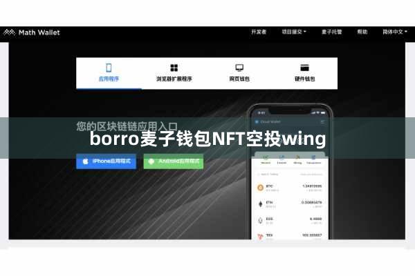 borro麦子钱包NFT空投wing