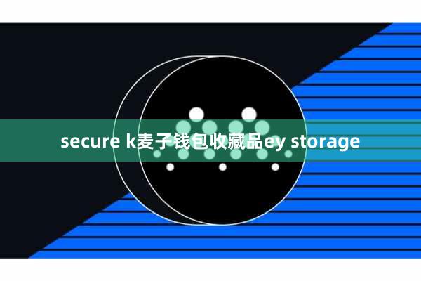 secure k麦子钱包收藏品ey storage