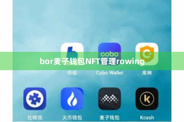 bor麦子钱包NFT管理rowing
