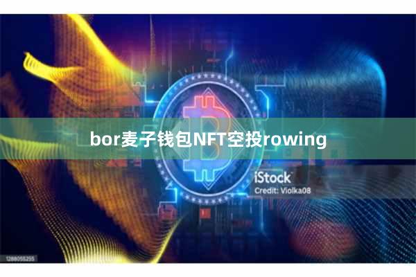 bor麦子钱包NFT空投rowing