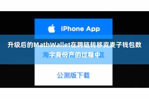 升级后的MathWallet在跨链转移资麦子钱包数字身份产的过程中
