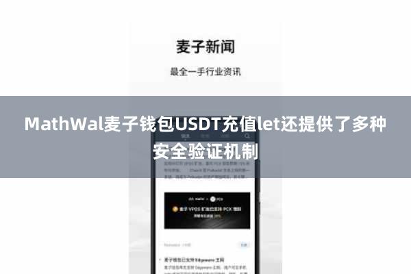 MathWal麦子钱包USDT充值let还提供了多种安全验证机制