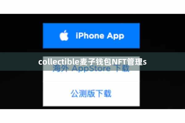 collectible麦子钱包NFT管理s