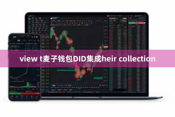 view t麦子钱包DID集成heir collection