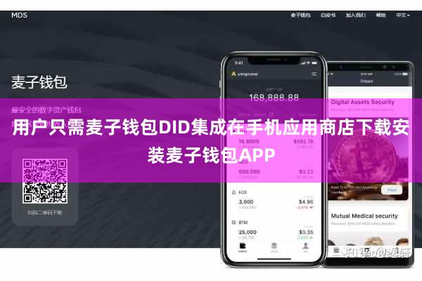 用户只需麦子钱包DID集成在手机应用商店下载安装麦子钱包APP