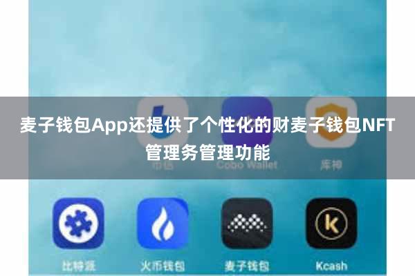 麦子钱包App还提供了个性化的财麦子钱包NFT管理务管理功能