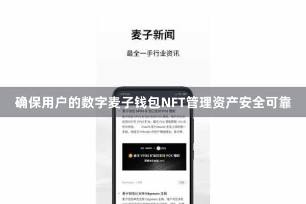 确保用户的数字麦子钱包NFT管理资产安全可靠