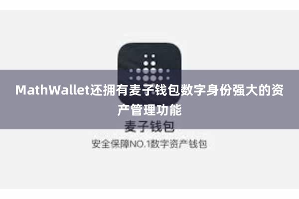MathWallet还拥有麦子钱包数字身份强大的资产管理功能